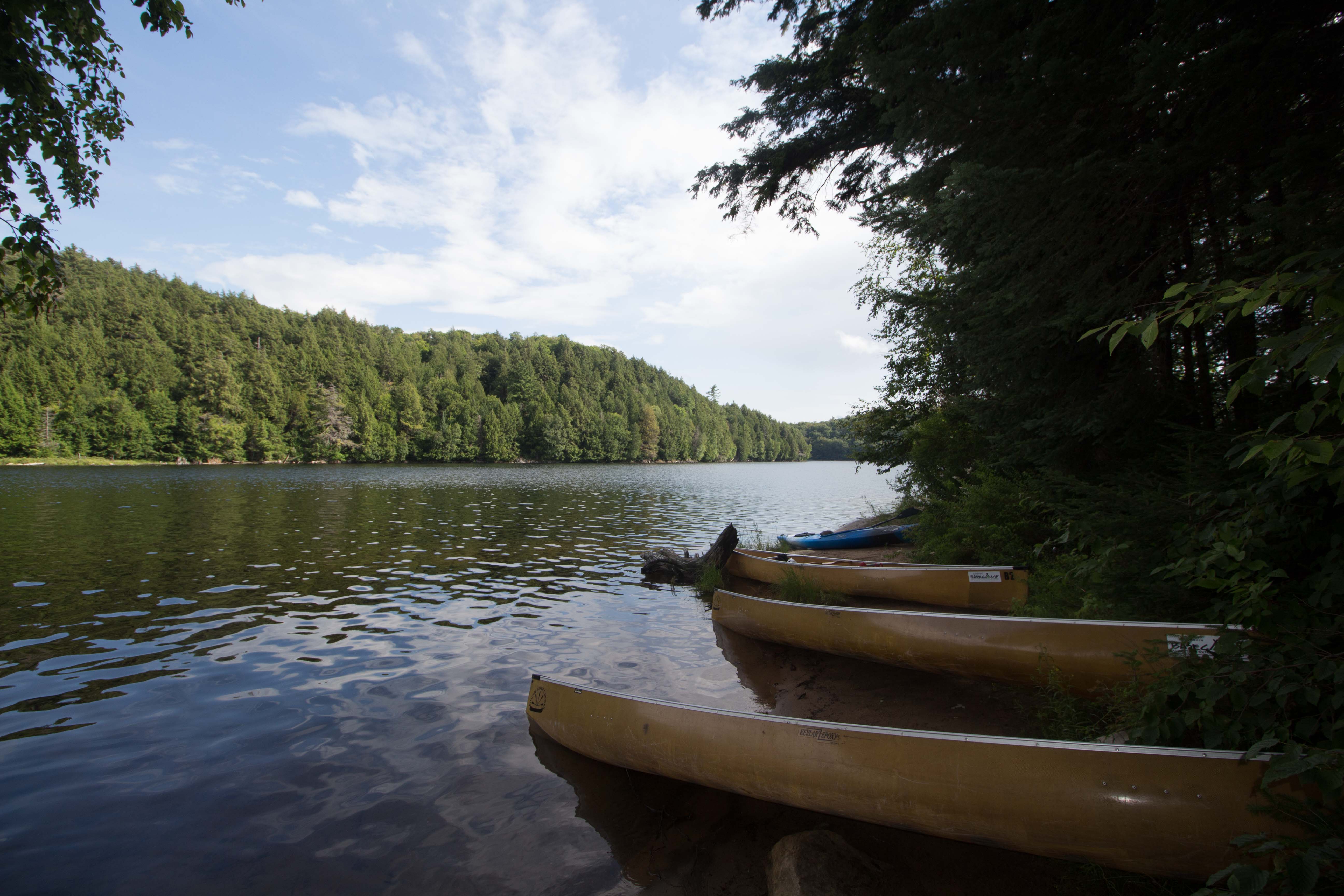 McCraney Lake